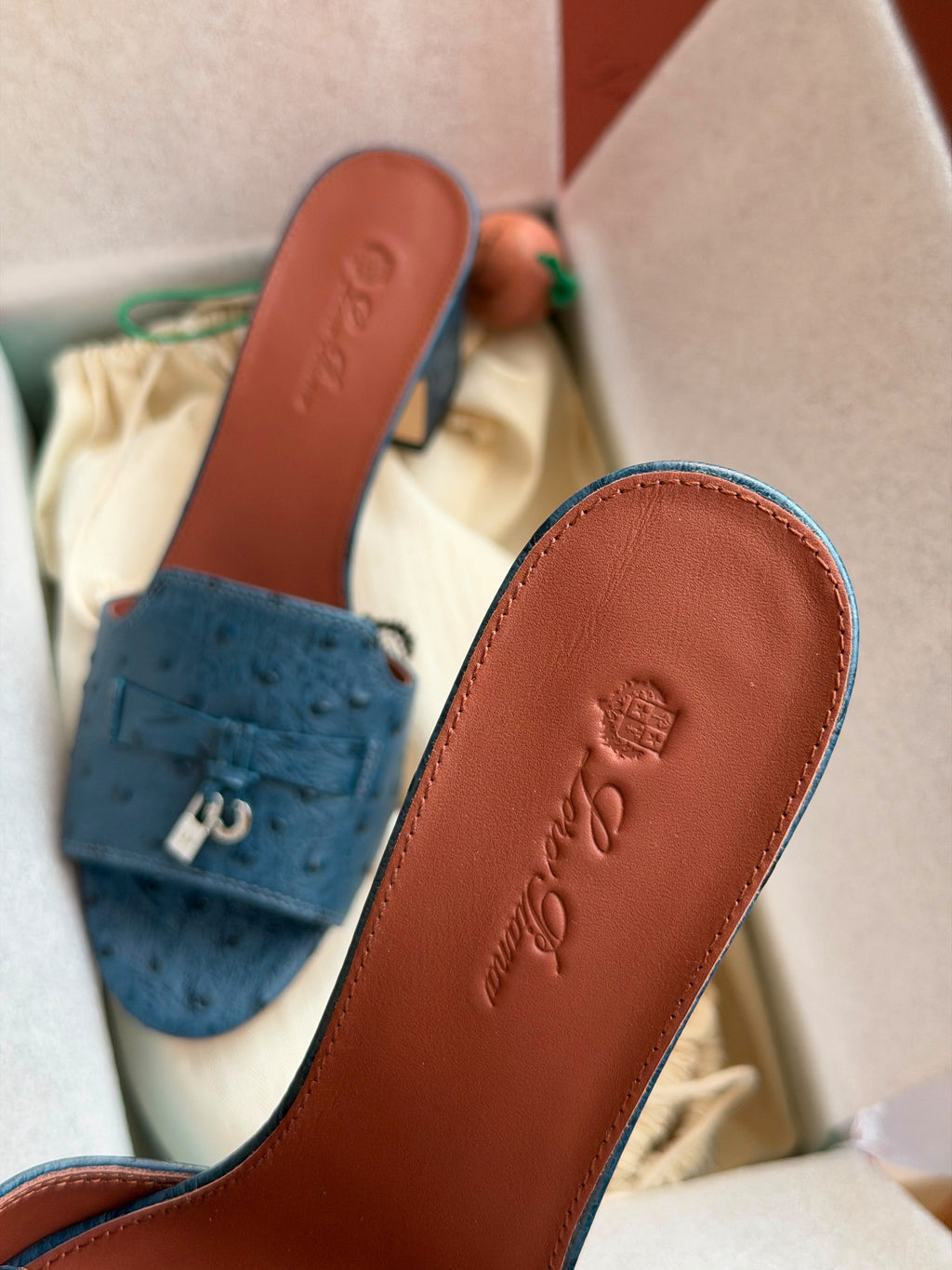 Loro Piana  Ostrich Leather Block-Heel