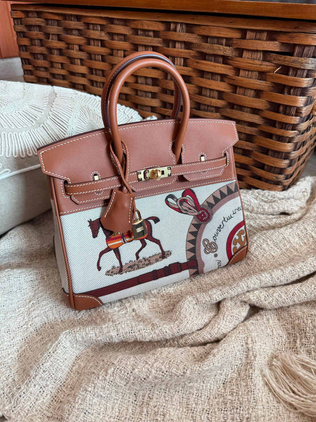 Hermès Birkin Limited Edition Canvas 25 CM