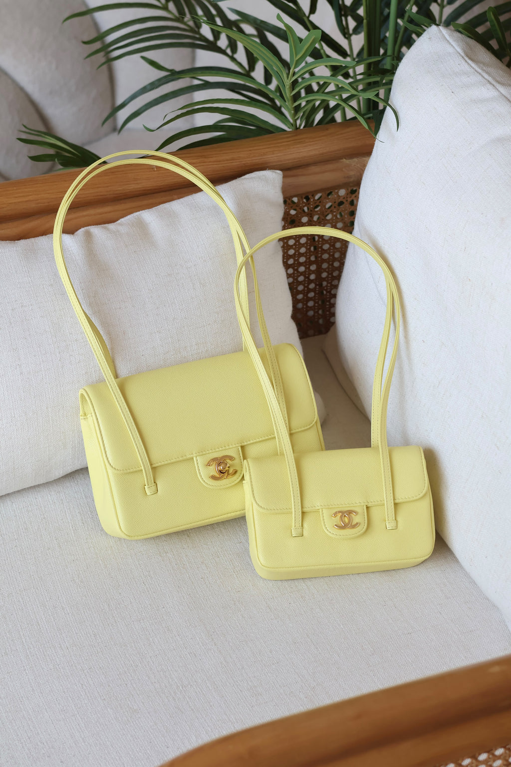 Chanel Flap Bag with CC Logo and Twin Straps
