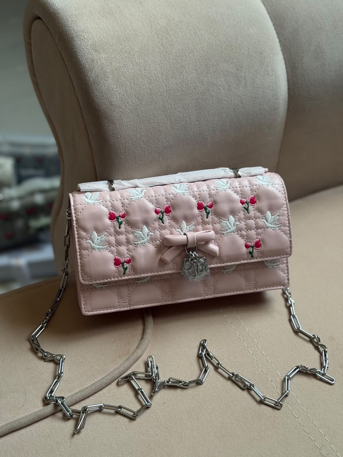 Dior Cherry and Bird Bow Chain Bag