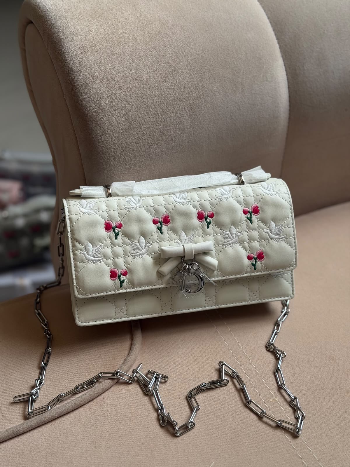 Dior Cherry and Bird Bow Chain Bag