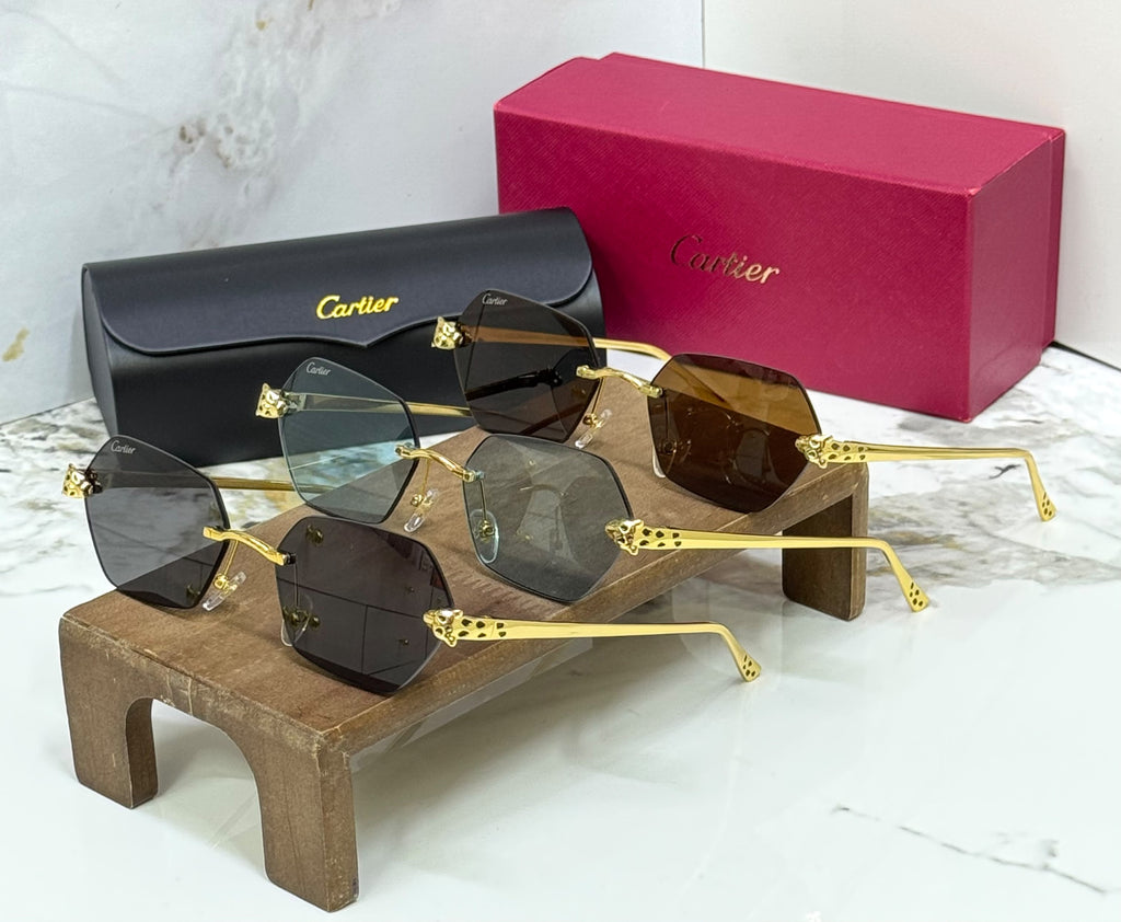 Cartier Panthère Rimless Hexagonal