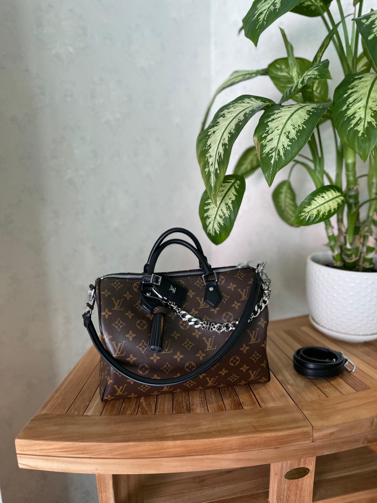 Louis Vuitton Monogram Speedy