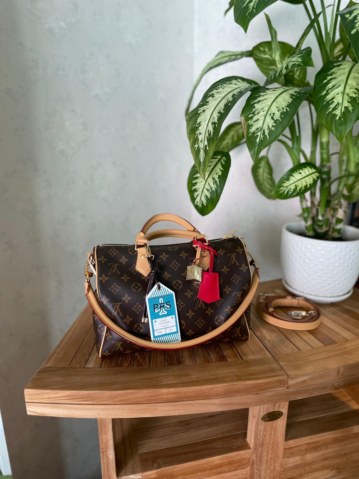 Louis Vuitton Monogram Speedy