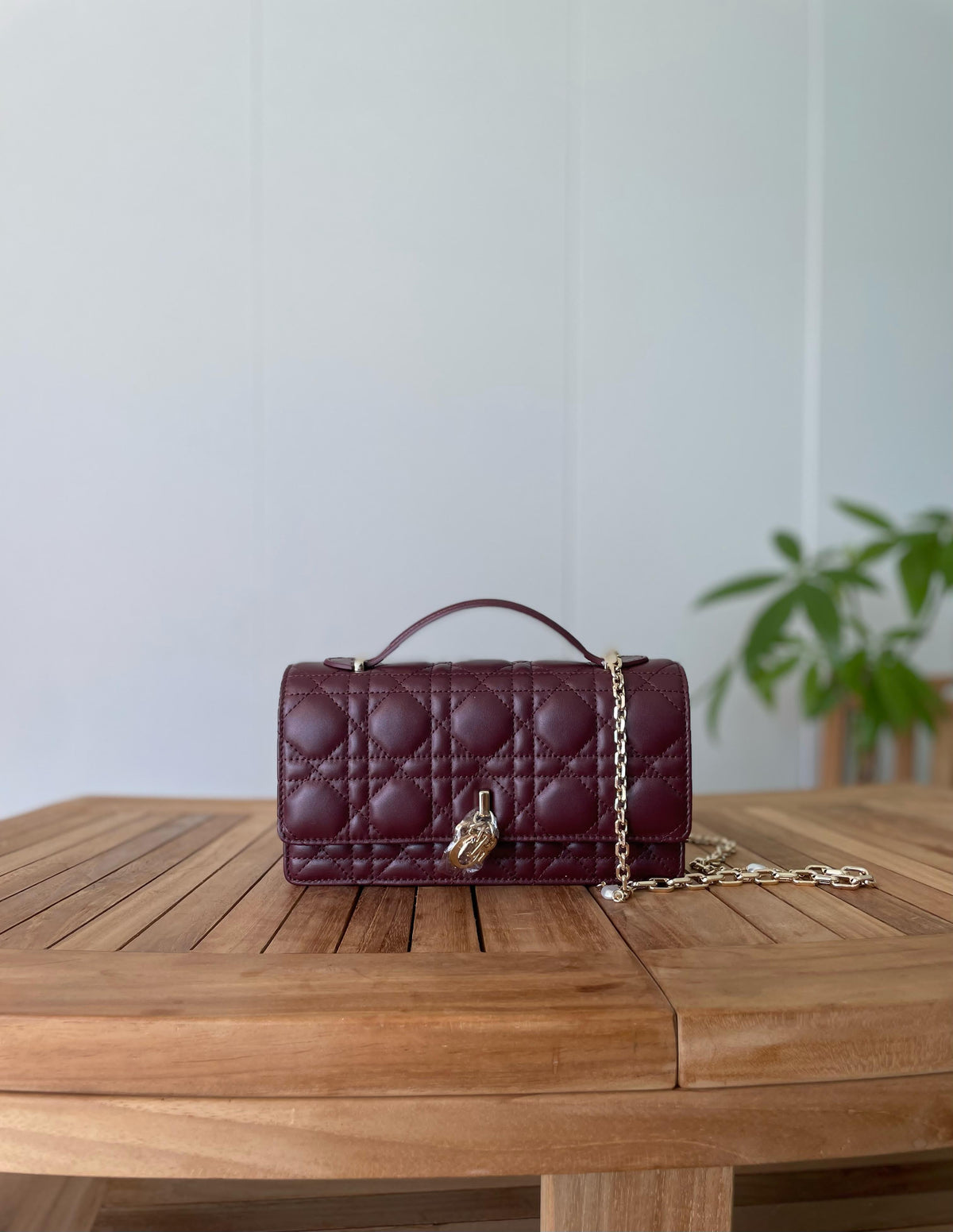 Miss Dior Vanity Case / Top Handle Bag