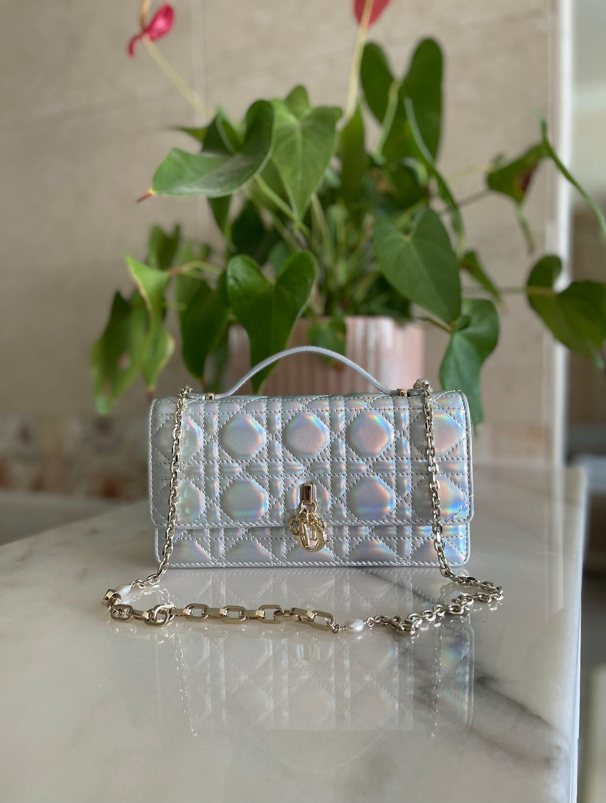 Miss Dior Vanity Case / Top Handle Bag