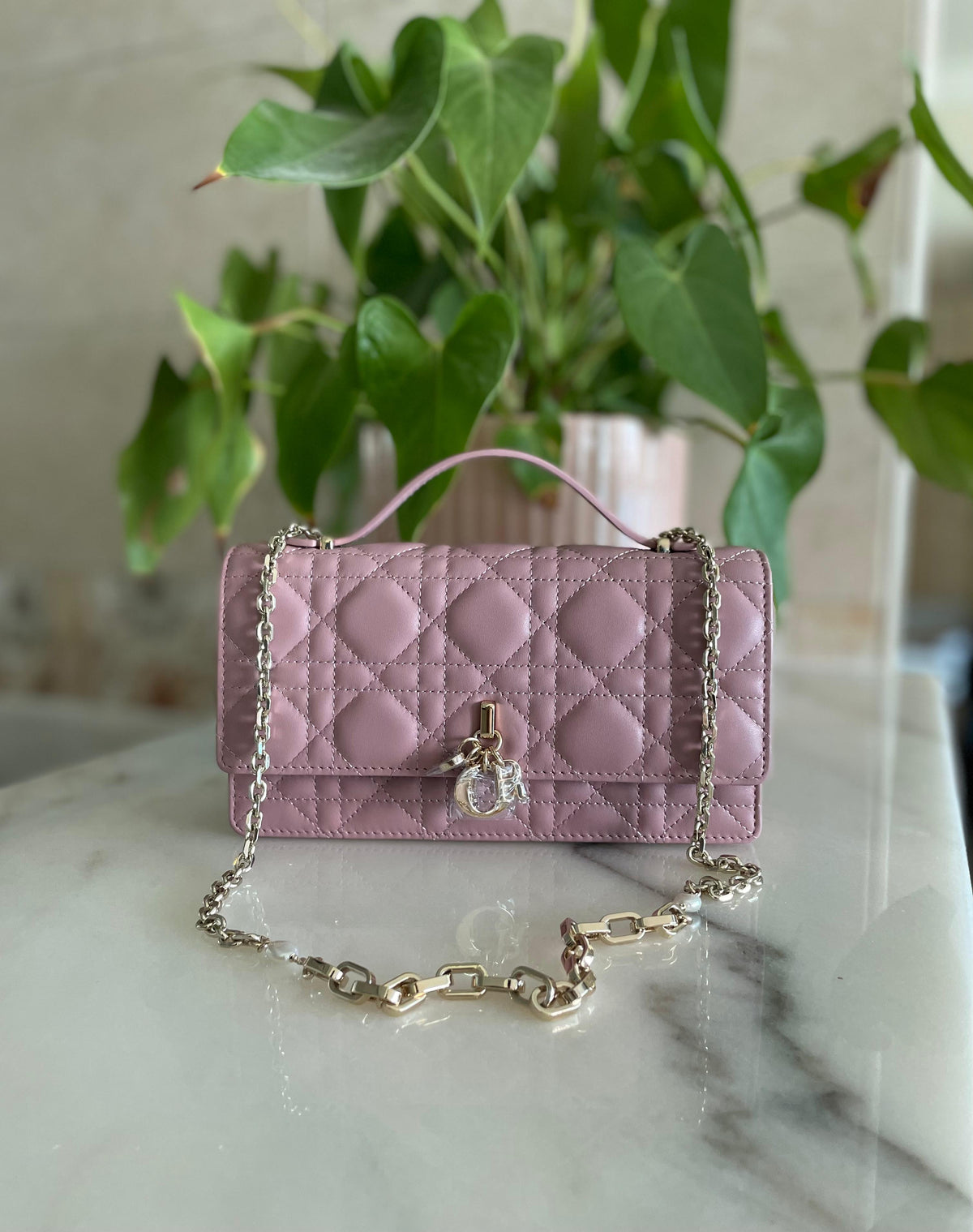 Miss Dior Vanity Case / Top Handle Bag