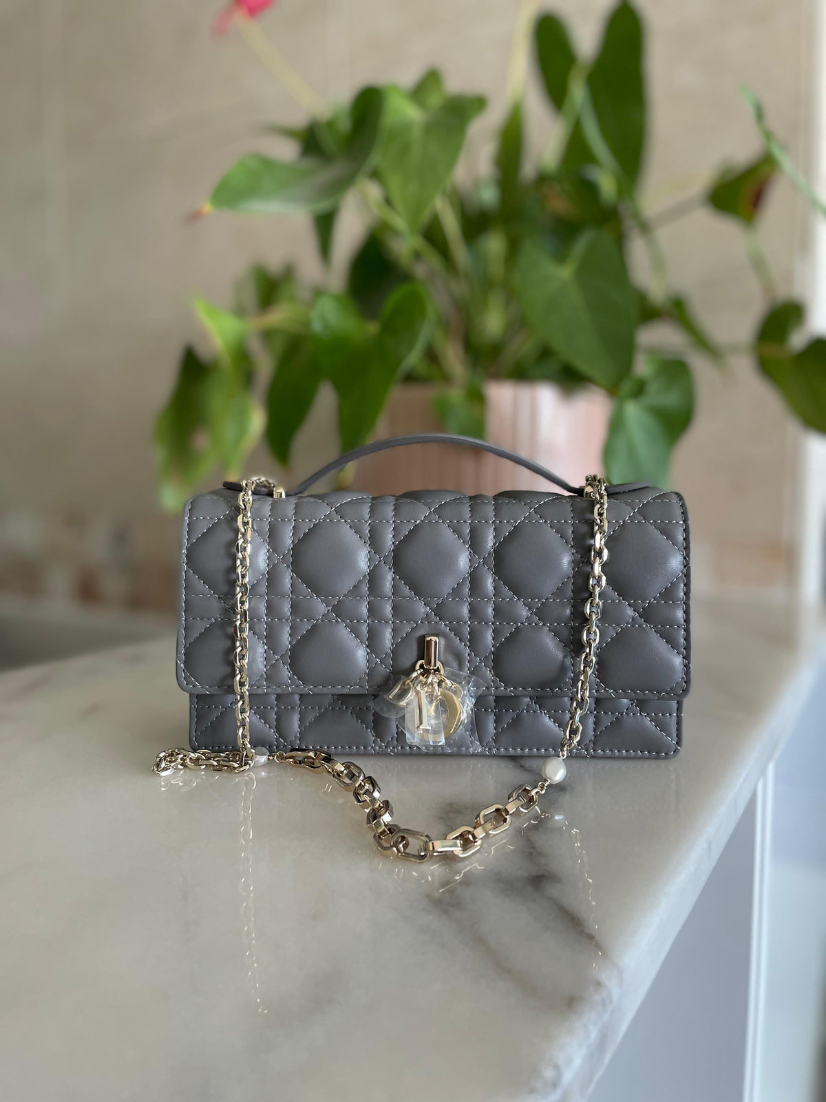Miss Dior Vanity Case / Top Handle Bag