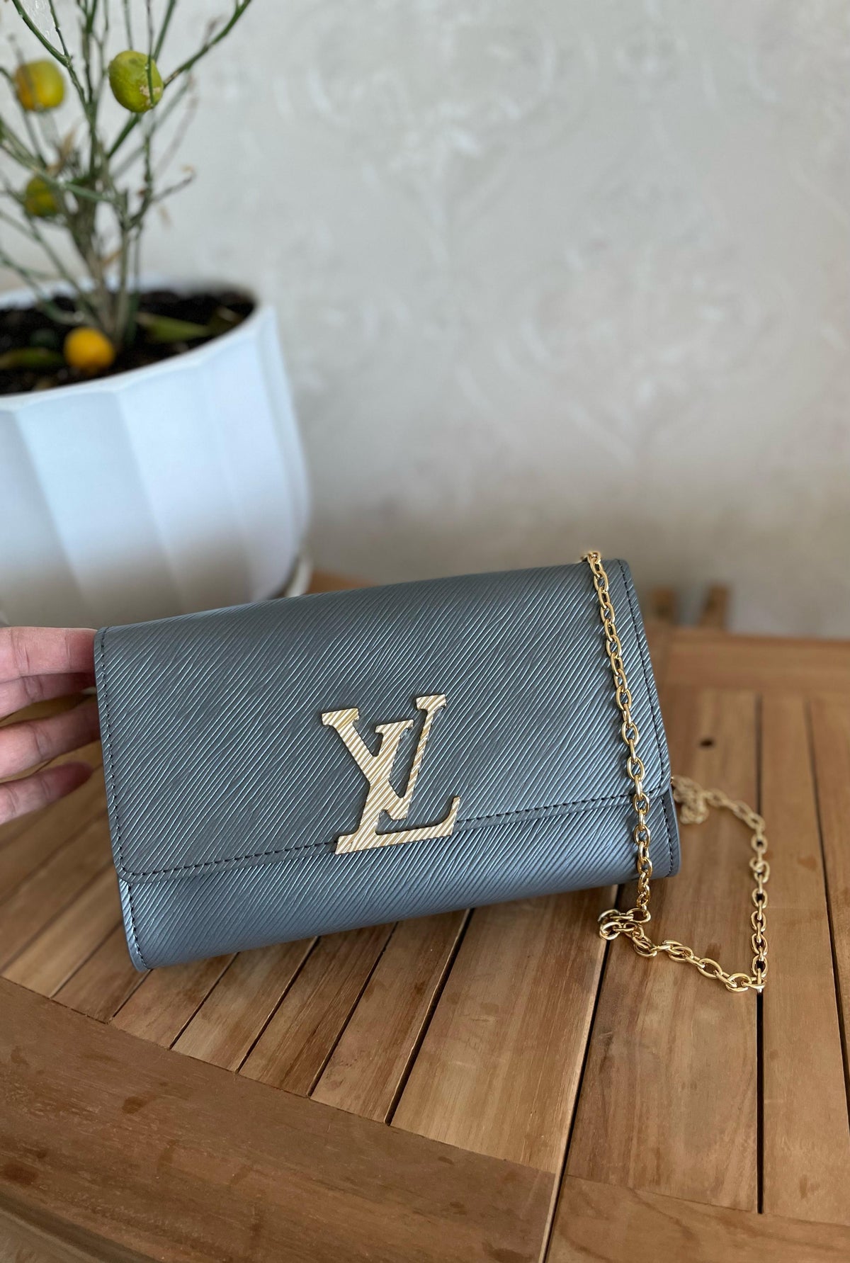 Louis Vuitton Felicie Pochette