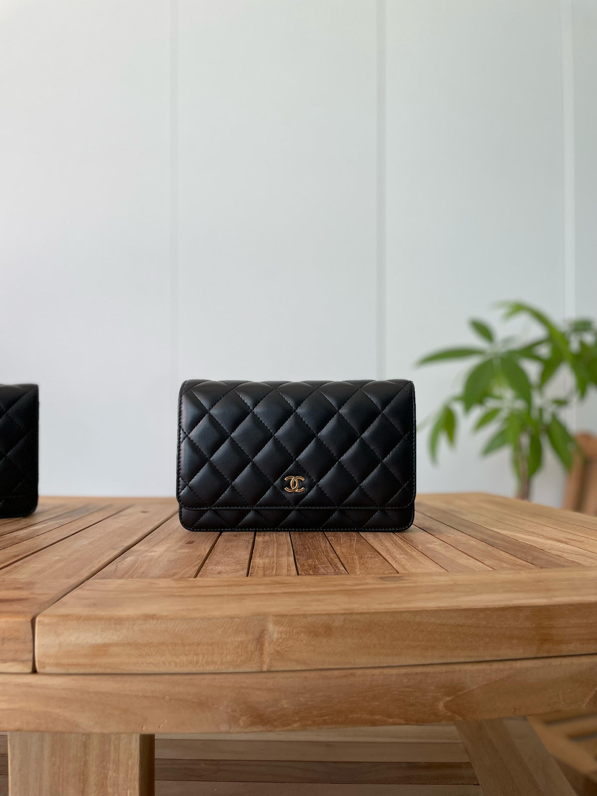 Chanel Quilted Flap Bags