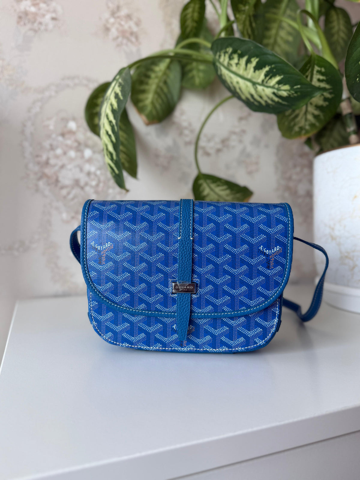 Goyard Belvedere Bag