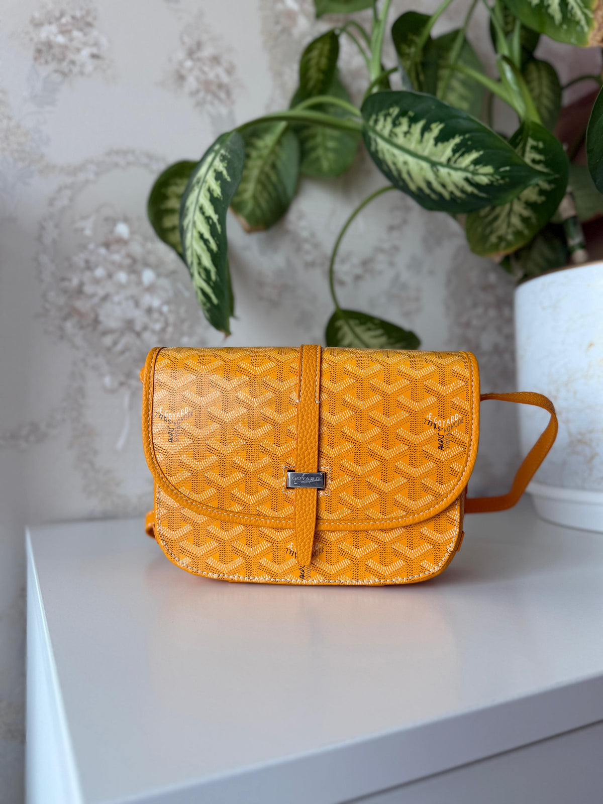 Goyard Belvedere Bag