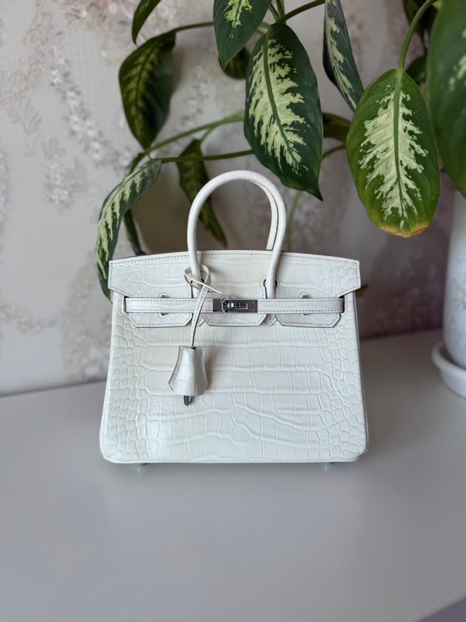 Hermès Birkin Bag 25 cm