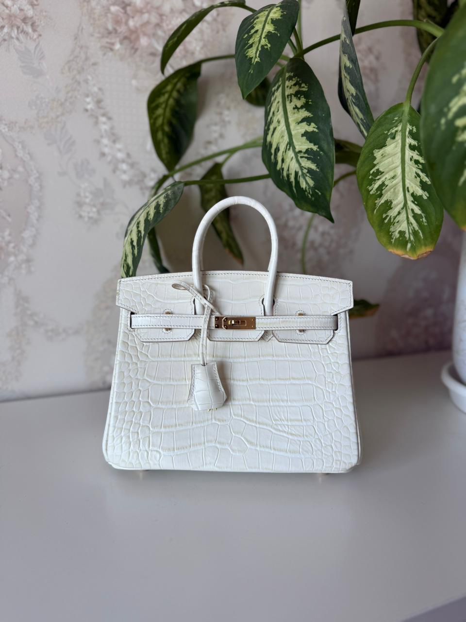 Hermès Birkin Bag 25 cm