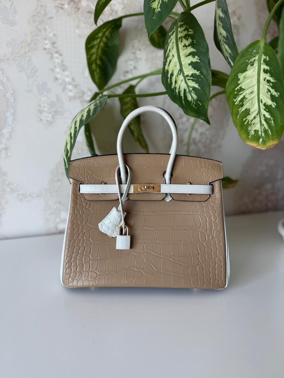 Hermès Birkin Bag 25 cm