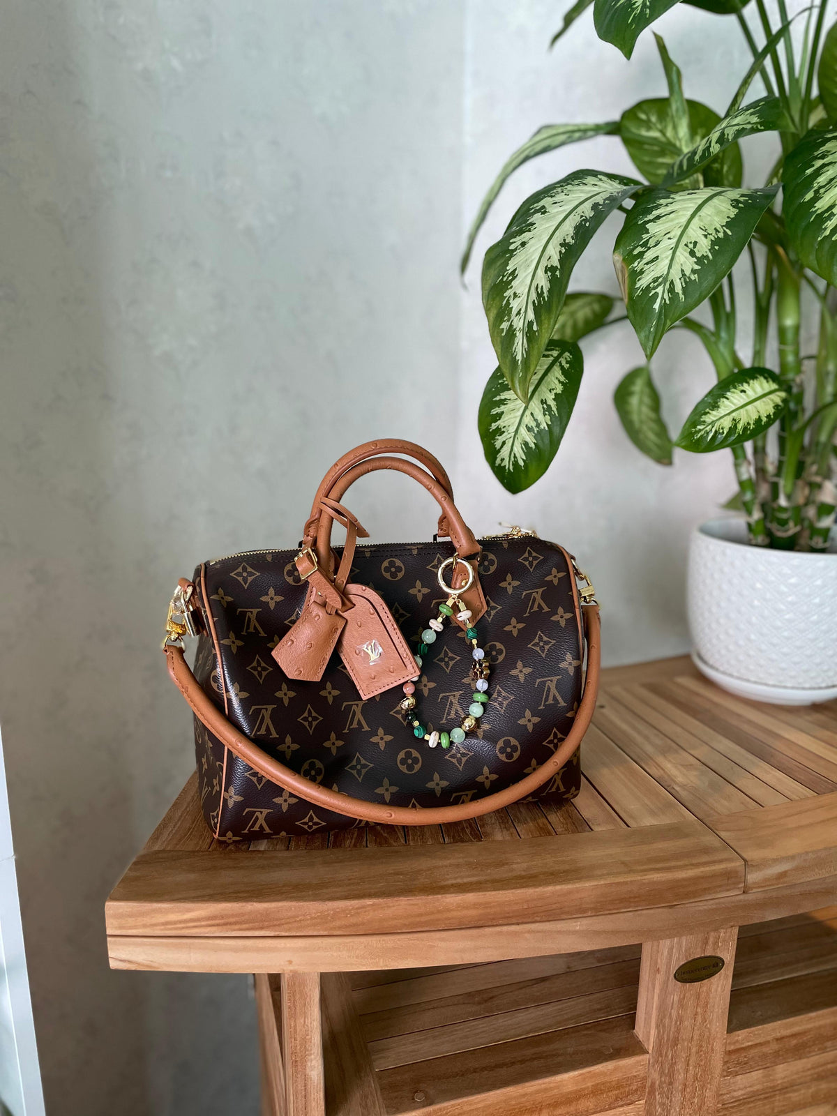 Louis Vuitton Speedy Bandoulière
