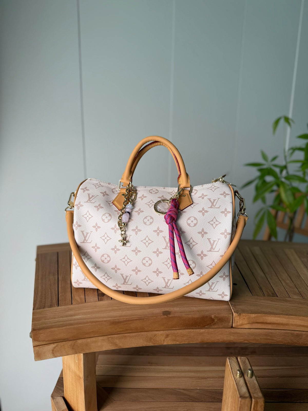 Louis Vuitton Speedy Bandoulière
