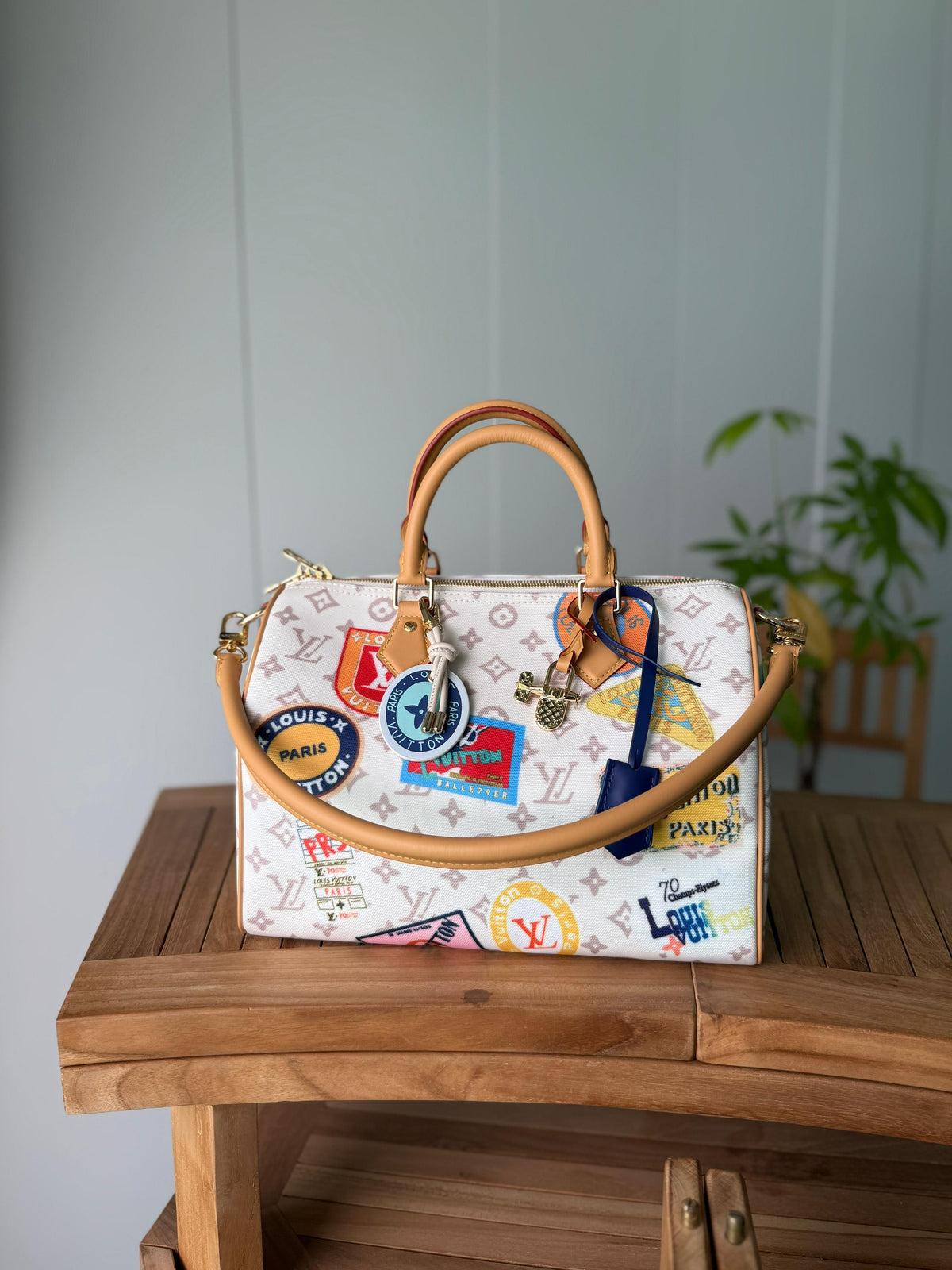 Louis Vuitton Speedy Bandoulière