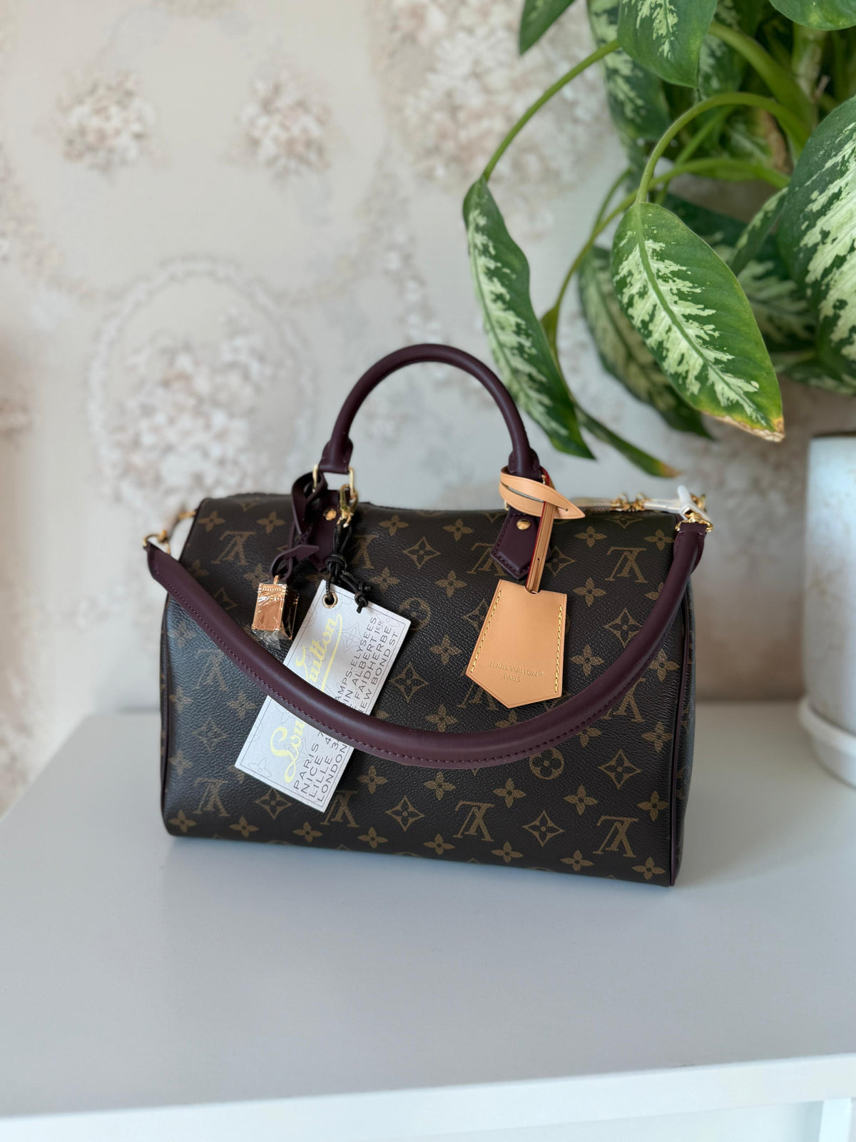 Louis Vuitton Speedy Bandoulière