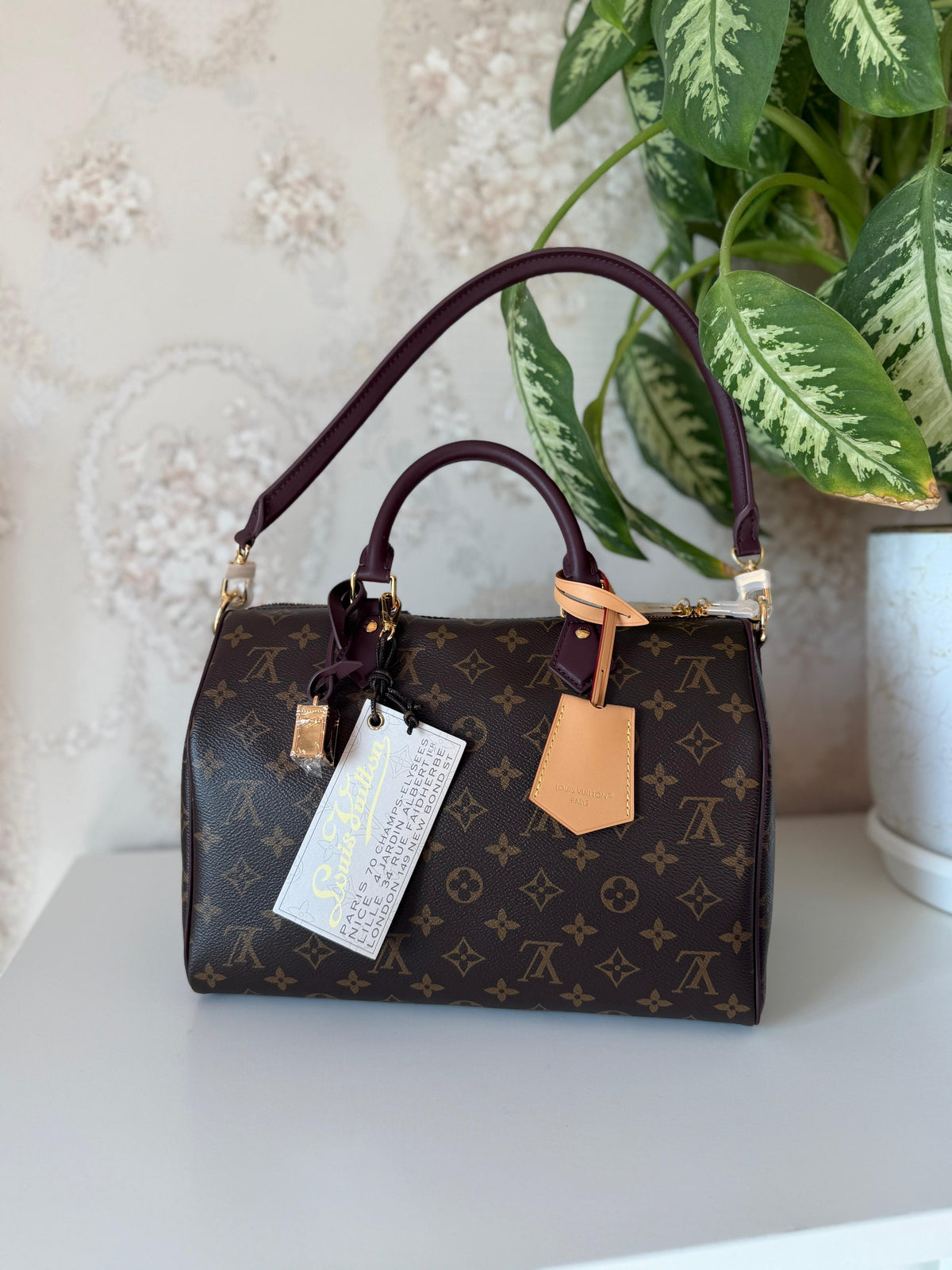 Louis Vuitton Speedy Bandoulière