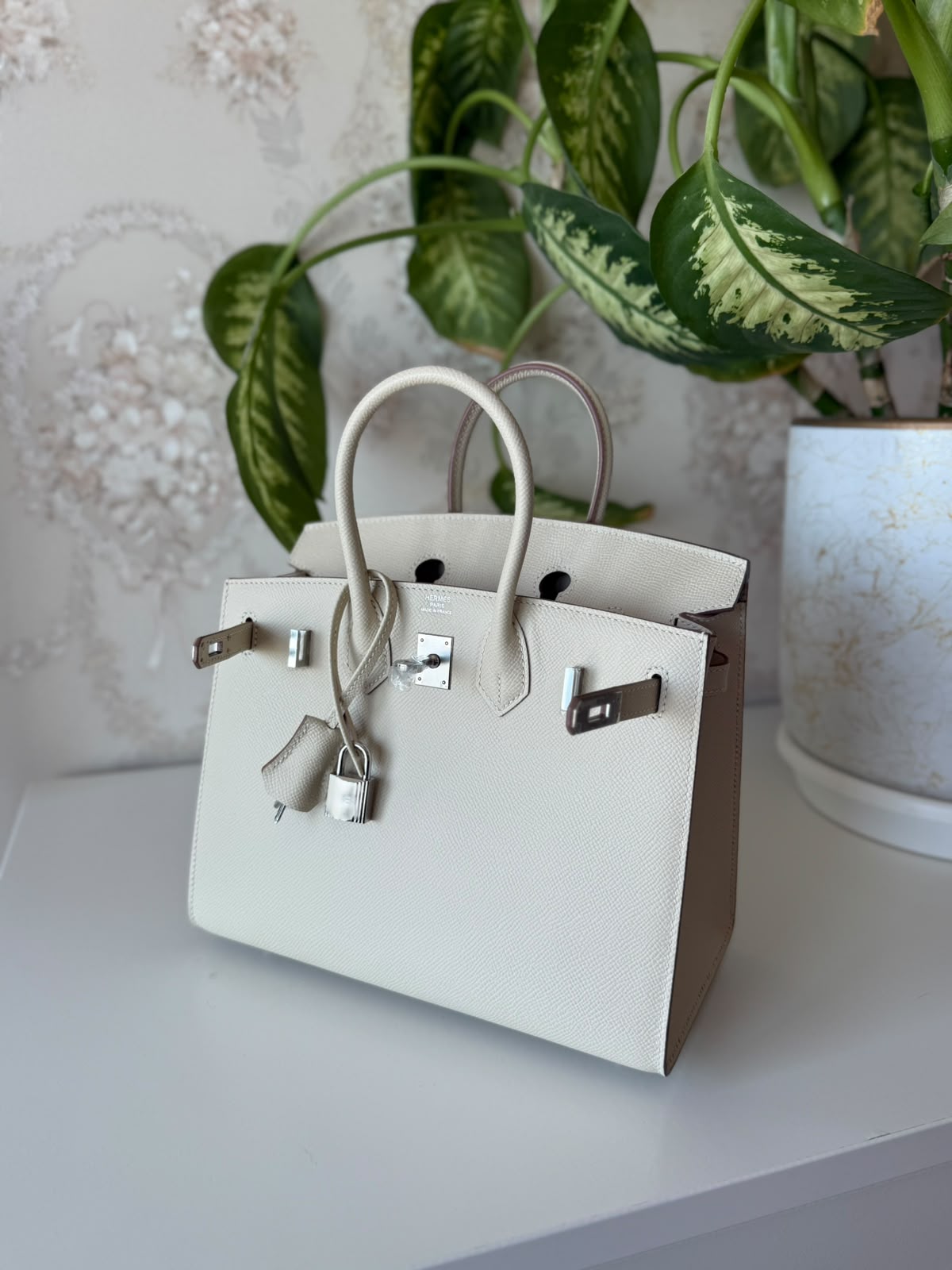 Hermès Birkin Bag 25 cm