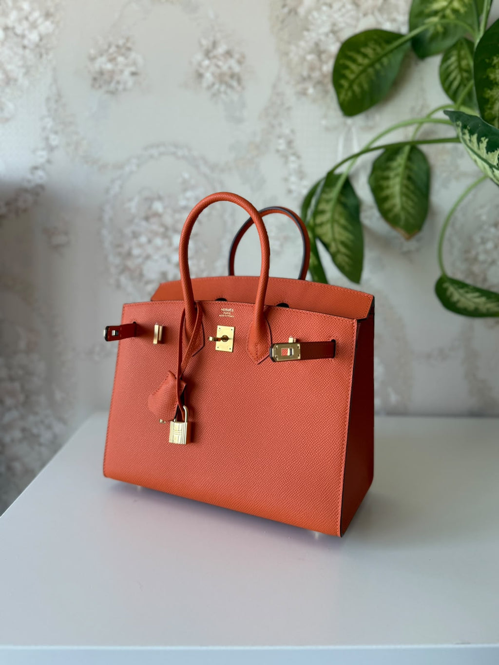 Hermès Birkin Bag 25 cm