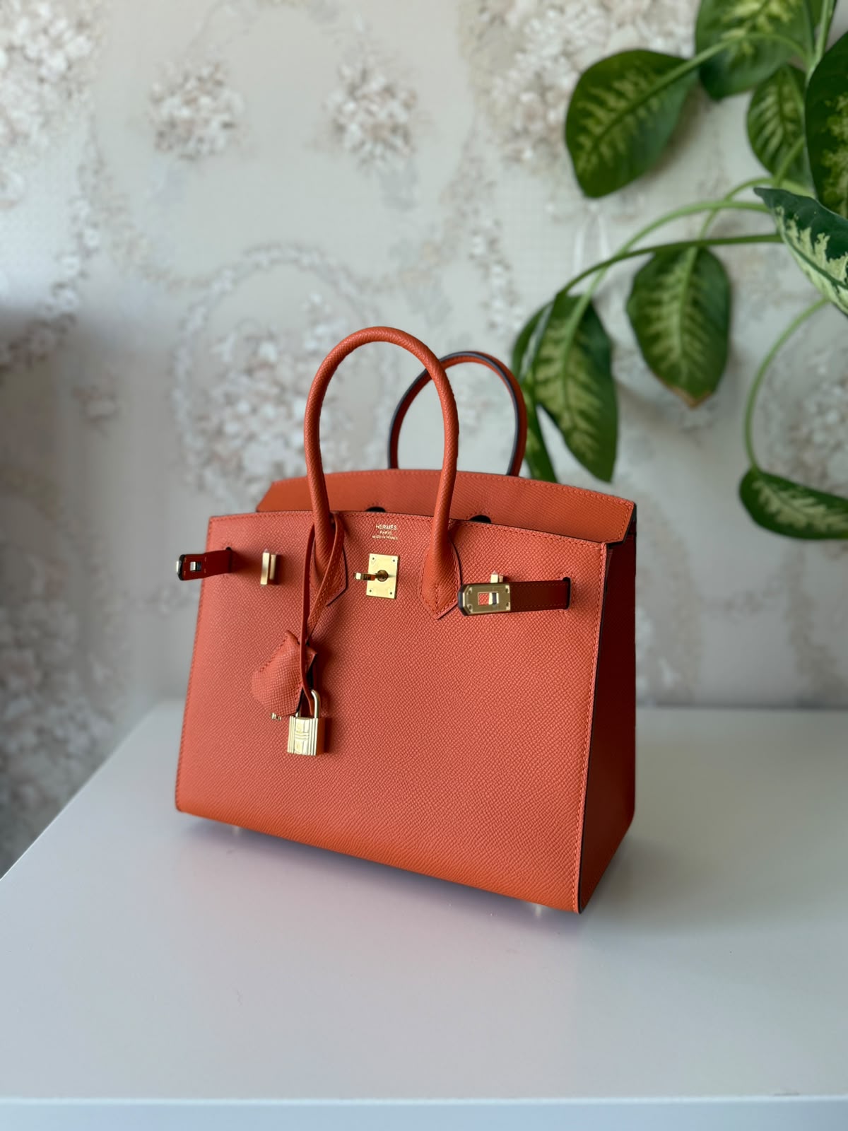 Hermès Birkin Bag 25 cm