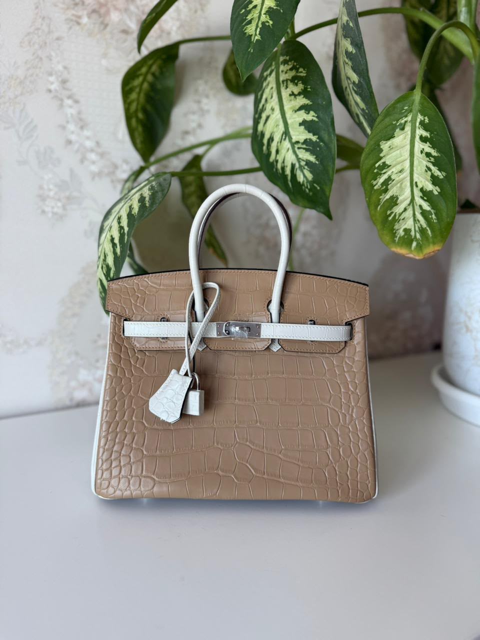 Hermès Birkin Bag).
