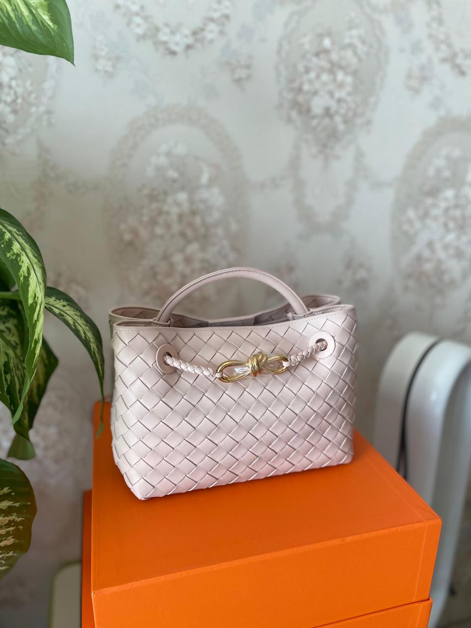 Bottega Veneta Andiamo Bag