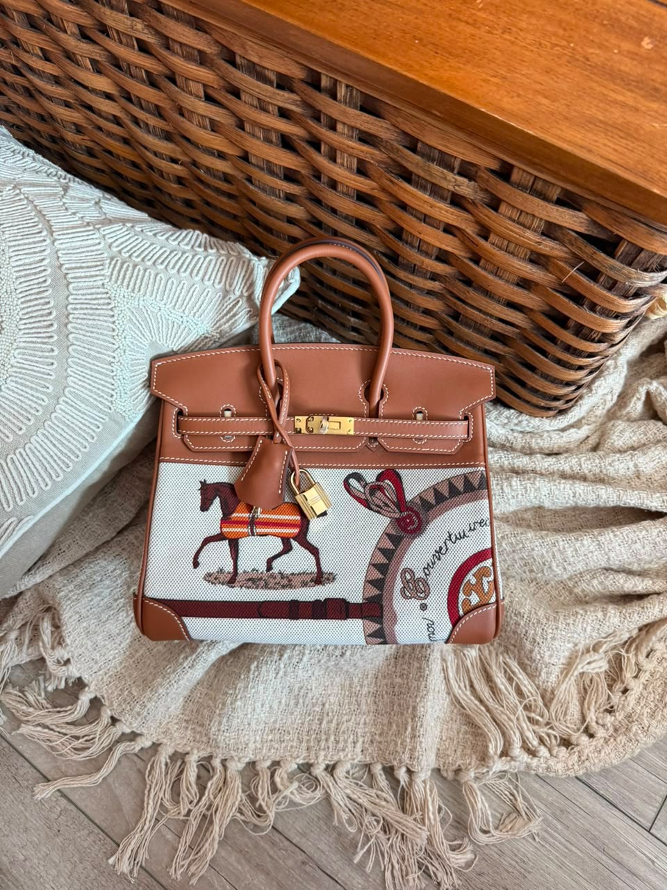 Hermès Birkin Limited Edition Canvas 25 CM