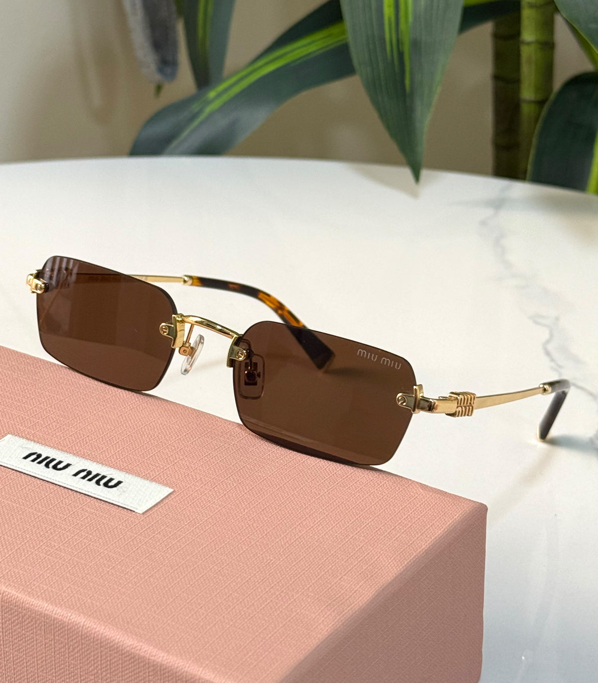 Miu Miu Eyewear