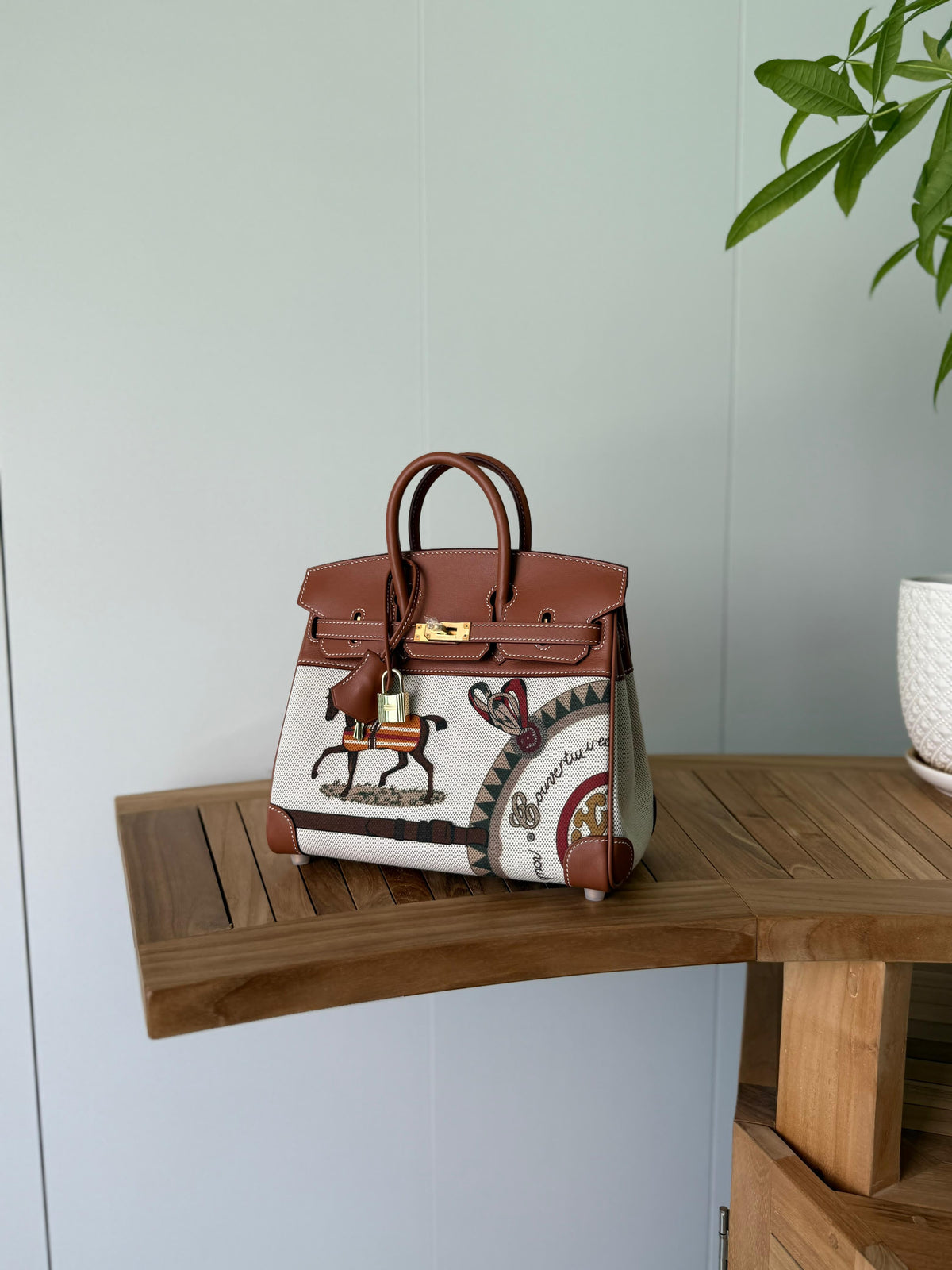 Hermès Birkin Faubourg / Limited Edition Printed Canvas & Leather Birkin