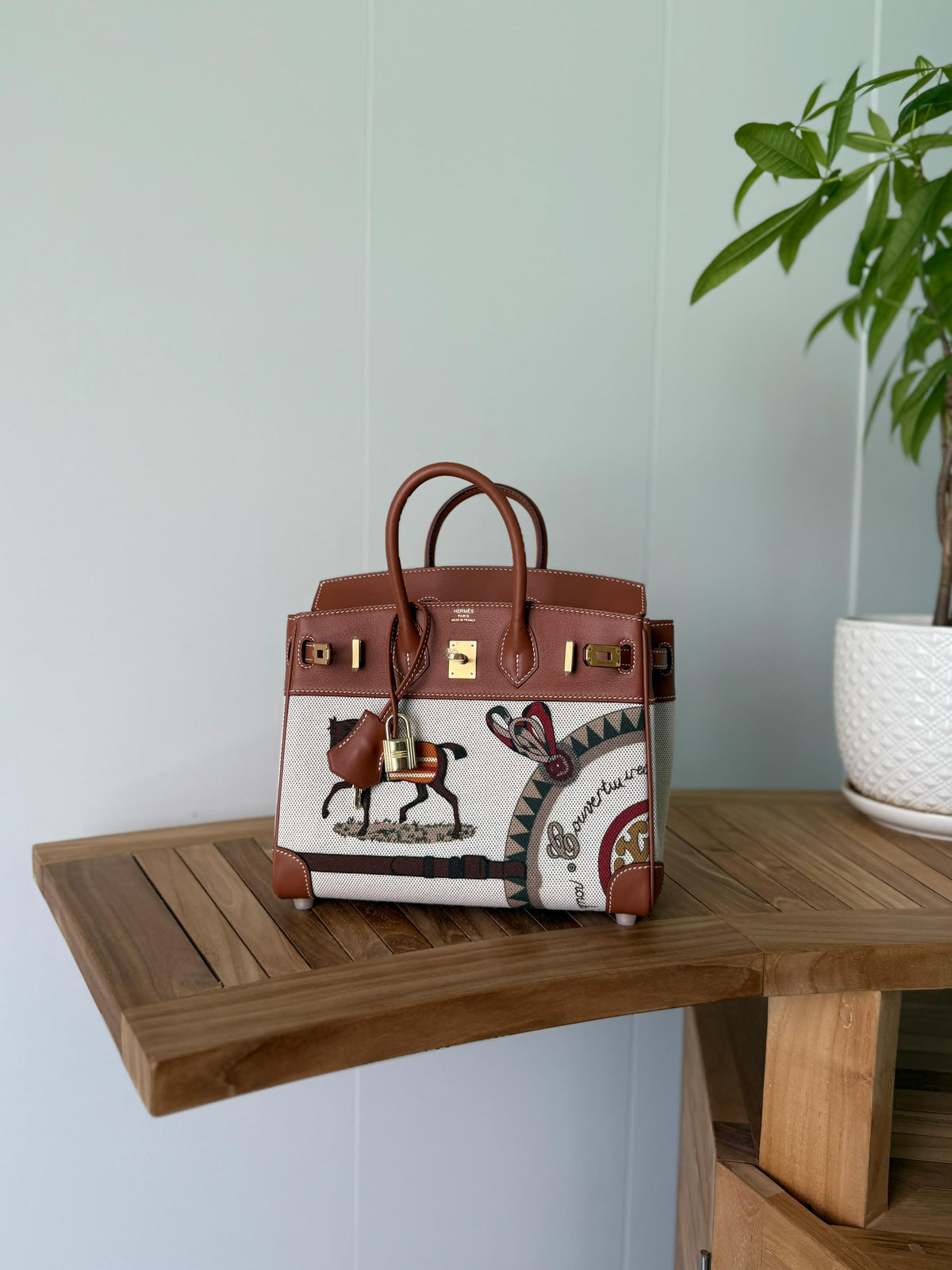 Hermès Birkin Faubourg / Limited Edition Printed Canvas & Leather Birkin